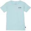 Billabong Kids Arch Fill Short Sleeve Tee (Toddler/Little Kids)